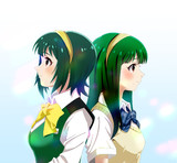 2024/9/9 小鳥さん