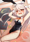 バニきく