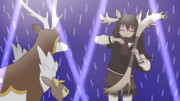 しかのこのこのこ・・・