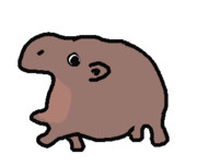 小カバ