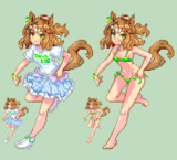 きらきらのわ