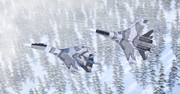 Su-35