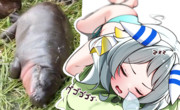 ヒポミラクル(おやすみ)