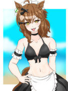 メイドビキニポッケ…