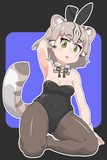 ツシマヤマネコ