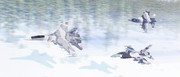 Su-35, F-16