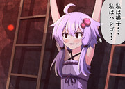 追い詰められて一か八かの手段に出たゆかりさん