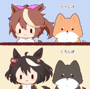 しば