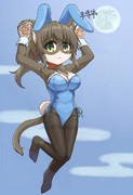 お月見バニーポニにゃん