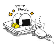 新米でつくったおにぎりが気になるクサガメ