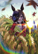 新米！