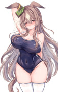 スク水ダイヤ
