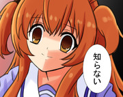 ところでマヤノ・・・シャケなエエヤンってさぁ・・・