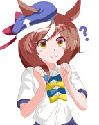４Kホイザ