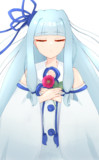 アオイの花と