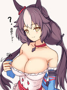 勝負服の疑問に答えるゼファー