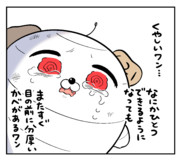 ACNBやってるとき