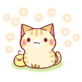 ねーこ