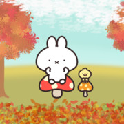 きのこの日だよ