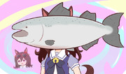 しゃけ