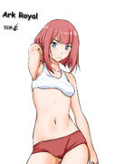 Ark Royal（1ﾄﾞﾛ20241018）