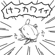 クサガメ(のけつ)