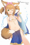 水着の獣耳少女 アラジン (偽りのアリス)