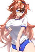バブルマムフェロー