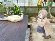 【日帰り旅行祭】掛川花鳥園のさとうささら