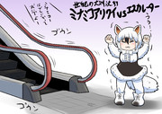 エレベーターvsミナミコアリクイ