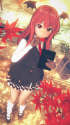 紅葉の季節ですね