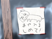 まや入るしめて！