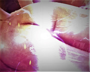 ホラーサスペンスシリーズ　26