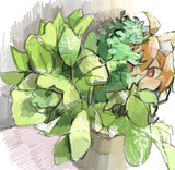 植木鉢ぃとリランちゃん