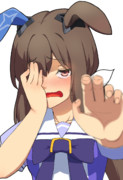 アヤベが好きだから