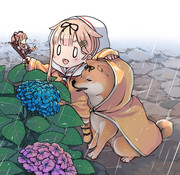 ぽいと柴