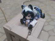 アライちゃんを捕獲した。どうする？