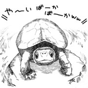 わいを笑うクサガメ