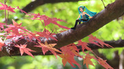 ちっちゃいミクと『紅葉』