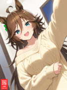 セーター姿のミスターシービー Dry Type