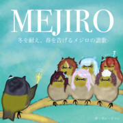 メジロ讃歌（鳥）