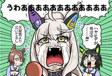 念願のストパー