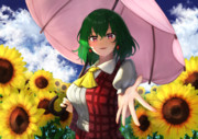 太陽の畑にて