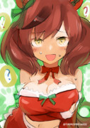 聖夜になぜか倍盛りになって重さで困惑するネイチャさん概念