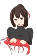 伊勢エビ揉め