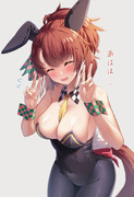 82ダンツ