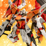 デスティニーガンダム(ハイネ専用機)