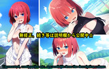 オートギャラリー　520