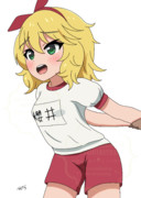体操服　桃華