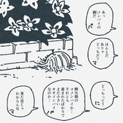 メンバイの繭